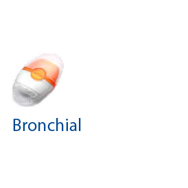 flip-bronchial